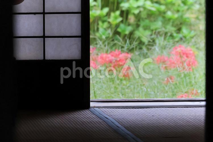 和室のイメージ 和室,家,住宅の写真素材