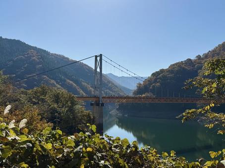 九頭竜川夢のかけはし　箱ヶ瀬橋　福井県秋 土木遺産,建造物,夢のかけはしの写真素材