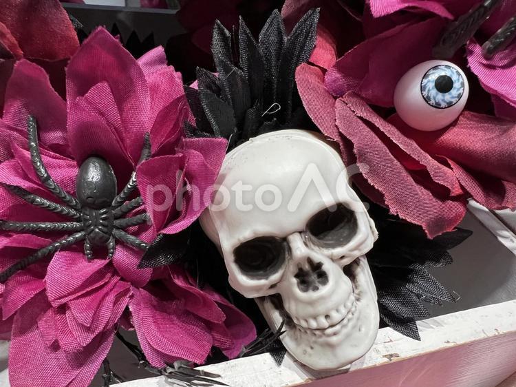 ゴシックな雰囲気の骸骨と花、ハロウィン ガイコツ,ドクロ,花の写真素材