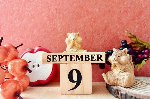 9月の可愛い背景素材 9月の可愛い背景素材 9月,イメージ,背景の写真素材