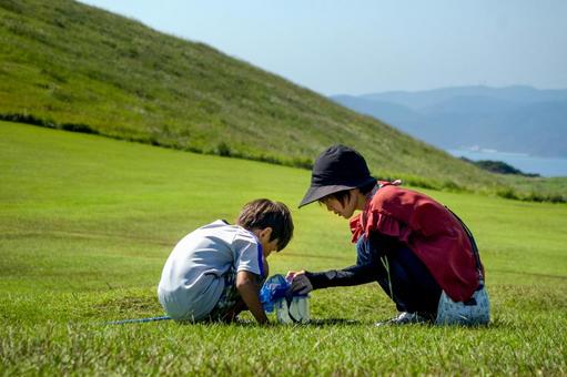 <素材>夏の公園で虫取りをする親子 <素材>夏の公園で虫取りをする親子 家族,女性,子供の写真素材