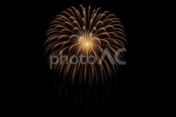 流れ落ちる柳華火 花火,夜空,柳華火の写真素材