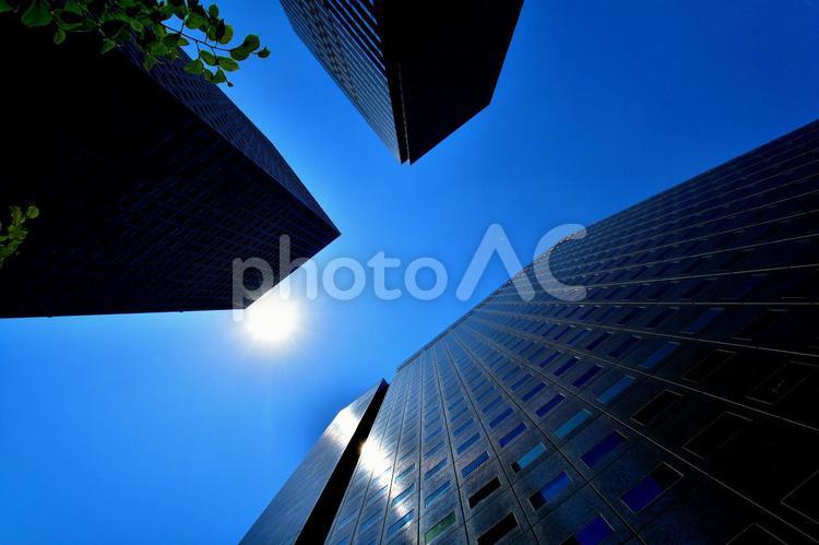 ビルと青空　都会と青空　快晴　晴れ 大都会,ビル,青空の写真素材