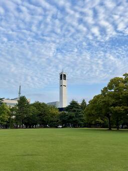 夏の夕方の公園　石川県駅西中央公園 石川県,鱗雲,金沢の写真素材