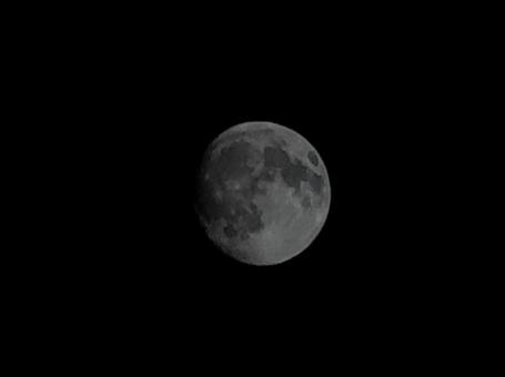 月 03 月 03の写真