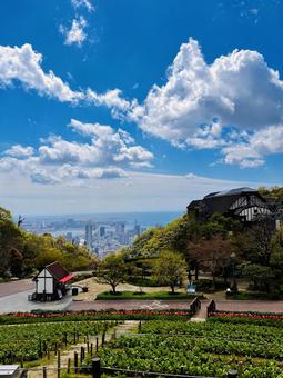 海と空と街並みの写真