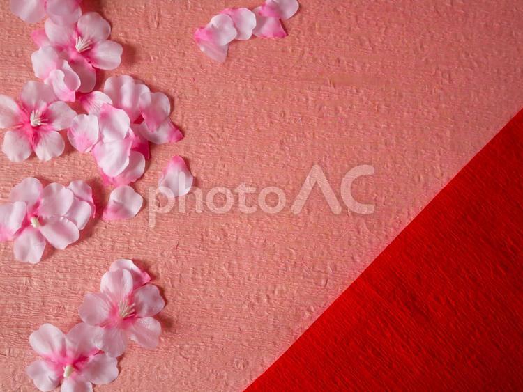 ひなまつり・桜のフレーム ひな祭り,３月,壁紙の写真素材