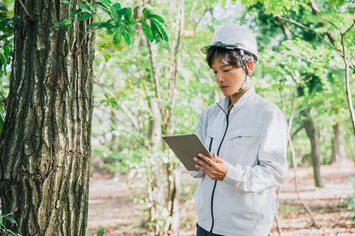 森の中で仕事する作業着の男性 林業土木 森の中で仕事する作業着の男性 林業土木 作業員,作業服,作業着の写真素材