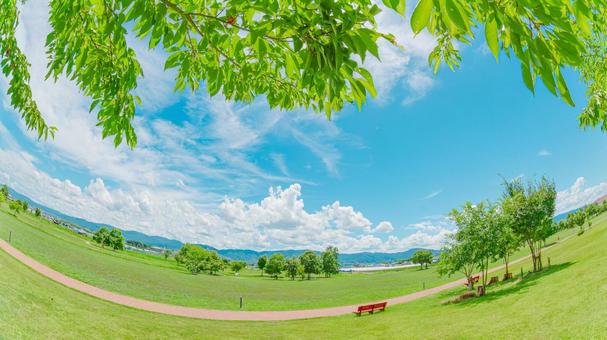 夏の公園 夏の公園の写真