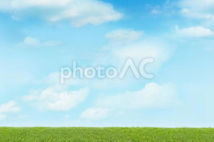 夏の青空と緑の芝生 青空,空,芝生の写真素材