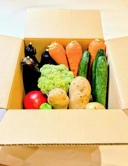 野菜の詰め合わせダンボール 野菜の詰め合わせダンボールの写真