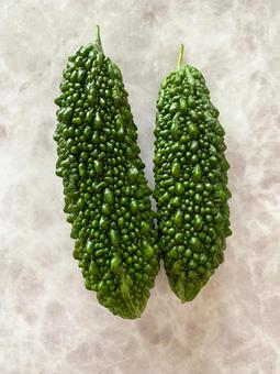 家庭菜園のゴーヤ ゴーヤチャンプルー,ゴーヤ,野菜の写真素材