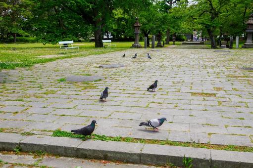 初夏の陸奥国分寺⑺ 初夏の陸奥国分寺⑺の写真