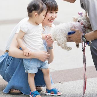 子供 初めての動物 子供 初めての動物 女性,人物,日本人の写真素材