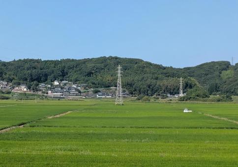 青田、鉄塔、夏景色 青田、鉄塔、夏景色 田んぼ,鉄塔,青田の写真素材