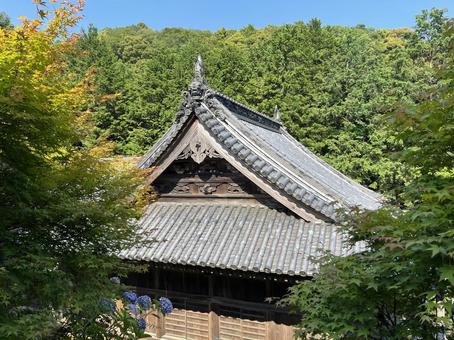 熊谷寺本堂 熊谷寺本堂の写真