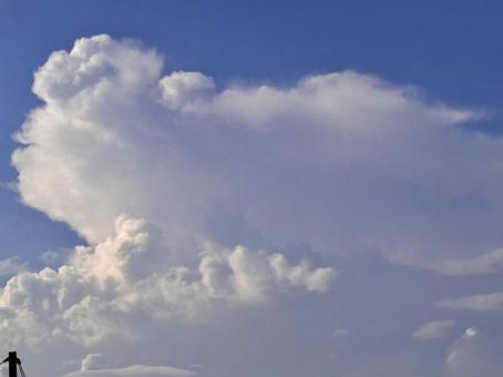 【風景写真】夏空 【風景写真】夏空の写真