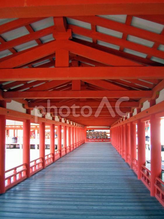 厳島神社　廻廊 厳島,宮島,厳島神社の写真素材