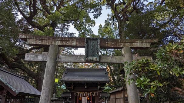 赤坂氷川神社 鳥居 赤坂氷川神社,氷川神社,縁結びの写真素材