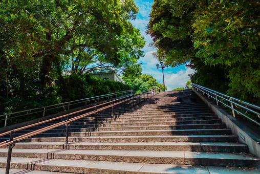 【東京】上野駅の周辺 上野公園 2025 【東京】上野駅の周辺 上野公園 2025の写真