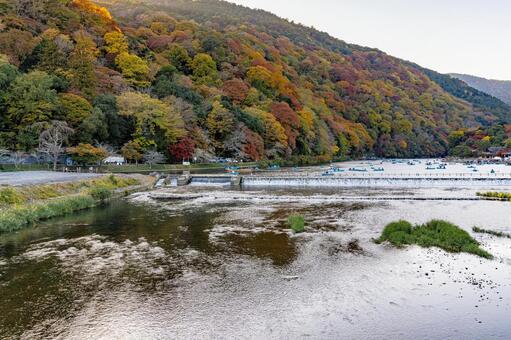 京都　嵐山　桂川　紅葉 嵐山,紅葉,桂川の写真素材