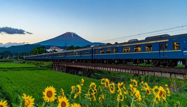夏の夕暮れ、ブルートレインの旅 夏の夕暮れ、ブルートレインの旅の写真