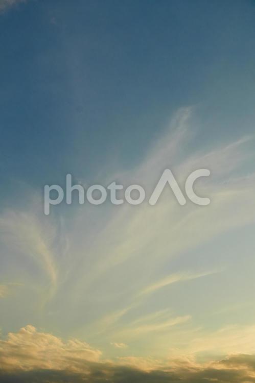 秋の夕方の空　縦 空,雲,夕方の写真素材