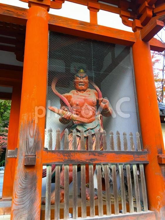 秋の奈良「室生寺」の仁王門（赤仁王像） 紅葉,秋,室生寺の写真素材