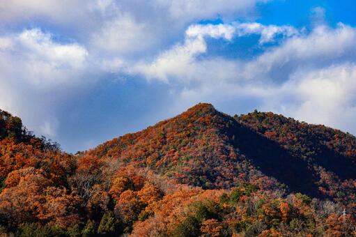 燃える秋山 秋,紅葉,もみじの写真素材