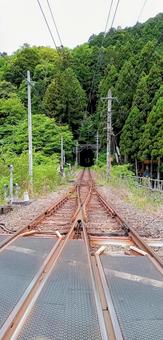 曇天の二股線路（単線の行き違い用） 単線,線路,二股の写真素材