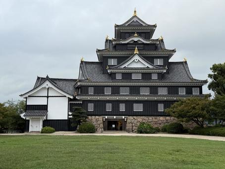 岡山城 岡山城 岡山城,岡山,城の写真素材