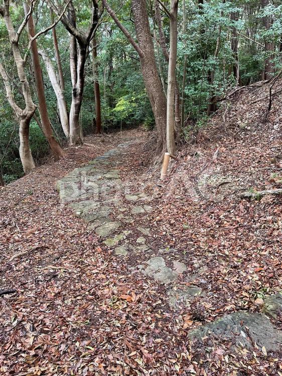 熊野古道 横垣峠の美しい石畳 熊野古道,古道,横垣峠の写真素材