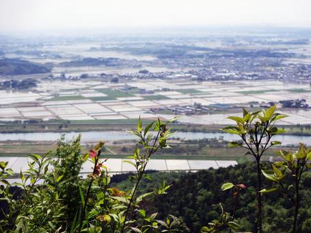 登山道からの眺め 登山道からの眺めの写真