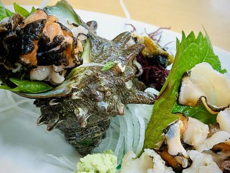 サザエの刺身 さざえ,刺身,貝の写真素材