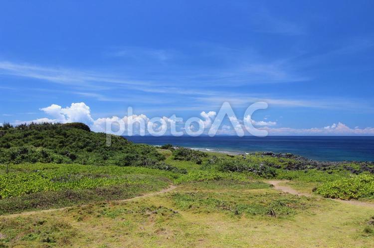 沖縄本島北部の辺戸岬 沖縄,辺戸岬,海の写真素材