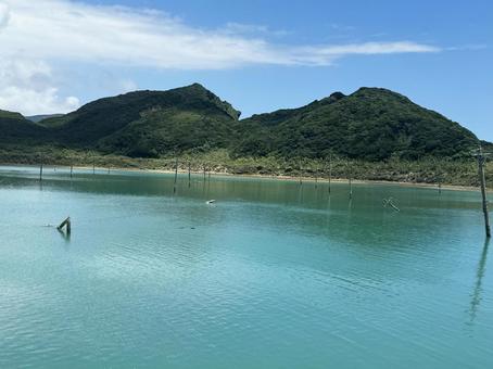 奄美大島 奄美大島,水没,電柱の写真素材