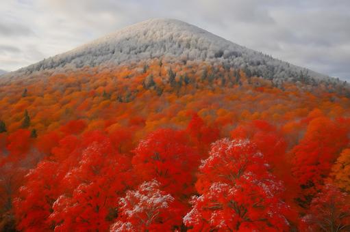 雪と紅葉の丘 雪と紅葉の丘の写真