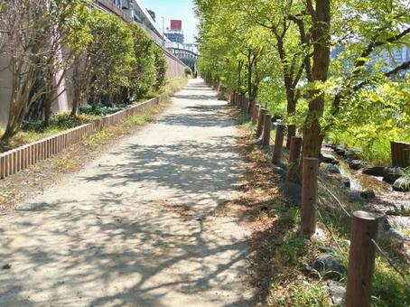 隅田川沿いの遊歩道を歩く 隅田川沿いの遊歩道を歩くの写真