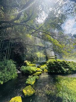 自然 自然 自然,風景,避暑地の写真素材