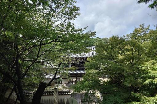 徳島県-丈六寺-三門 徳島県-丈六寺-三門の写真