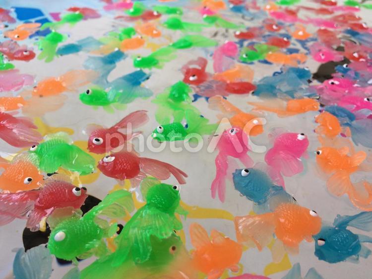 おもちゃの金魚すくい 金魚,金魚すくい,プールの写真素材