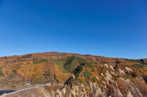 秋、紅葉した味噌川ダム 秋、紅葉した味噌川ダム 秋,味噌川ダム,紅葉の写真素材