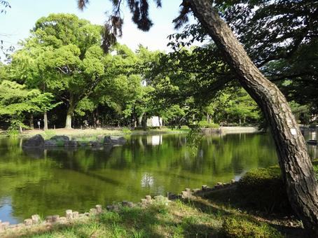 池のある風景1 池のある風景1の写真