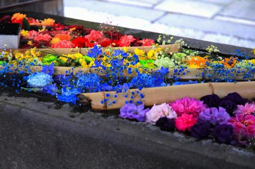 花模様ー花手水 花,花手水,神社仏閣の写真素材