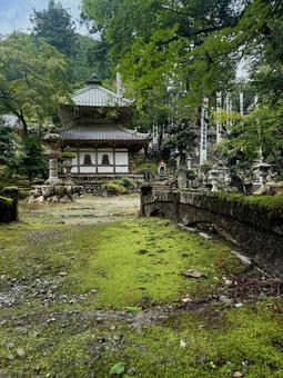 谷汲山華厳寺5 谷汲山華厳寺5 谷汲山,華厳寺,一切経堂の写真素材