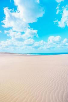 【鳥取】青空と鳥取砂丘 鳥取砂丘,砂漠,砂丘の写真素材