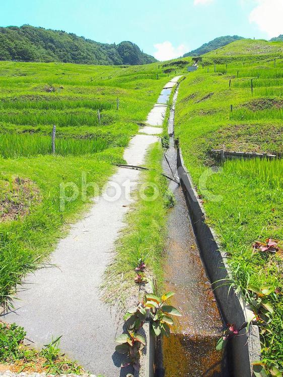 白米千枚田の棚田 棚田,能登半島,地震の写真素材
