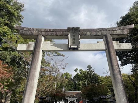 武田神社 武田神社,武田信玄,山梨県の写真素材