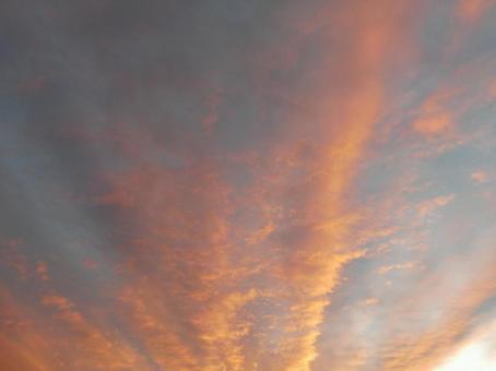 秋の空：11月上旬、爆発したような空B 夕方,空,オレンジの写真素材