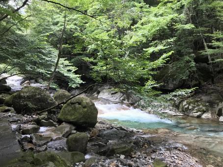 渓流3 渓流3の写真